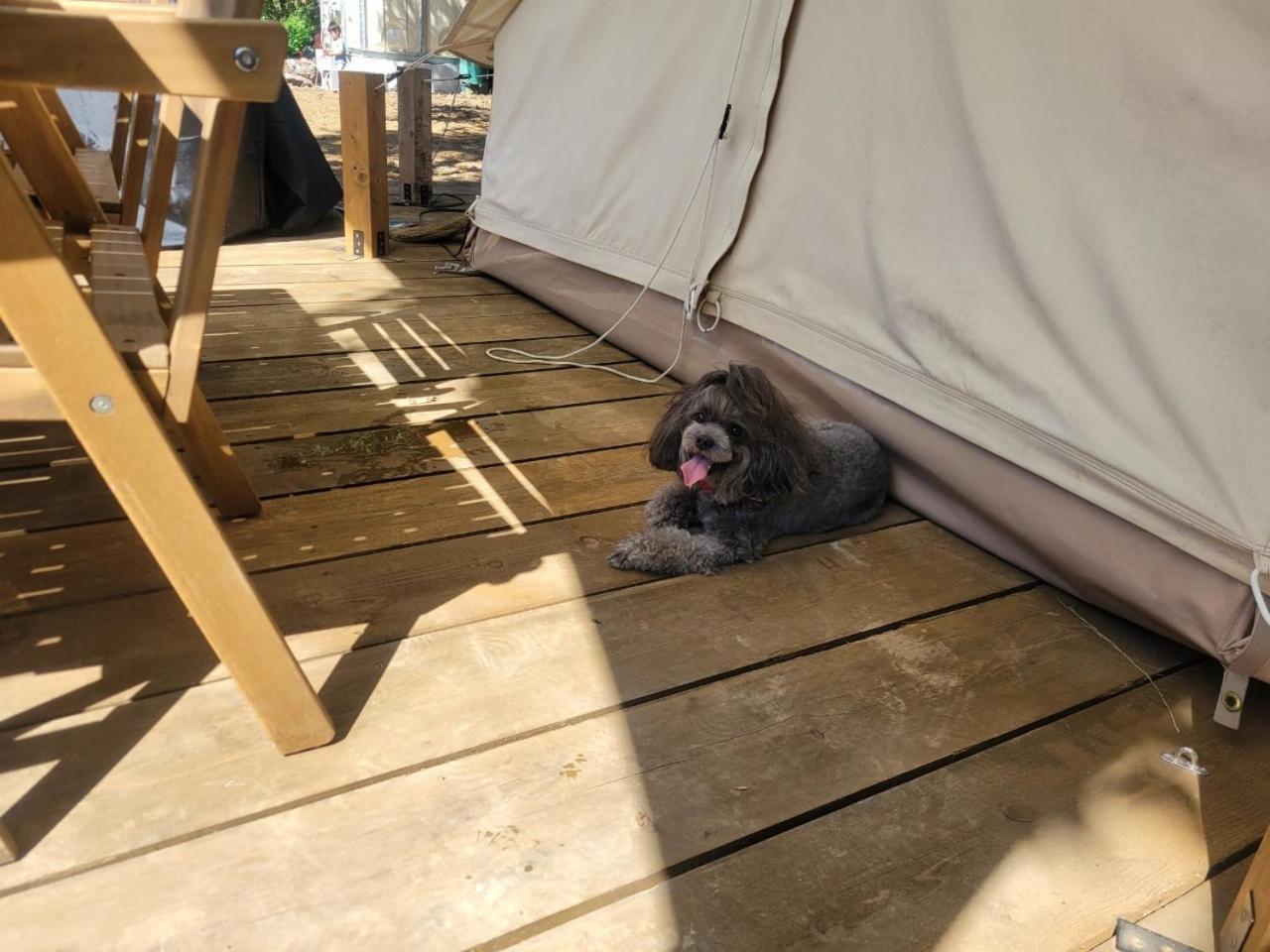 Couscous Glamping Luxury tent *